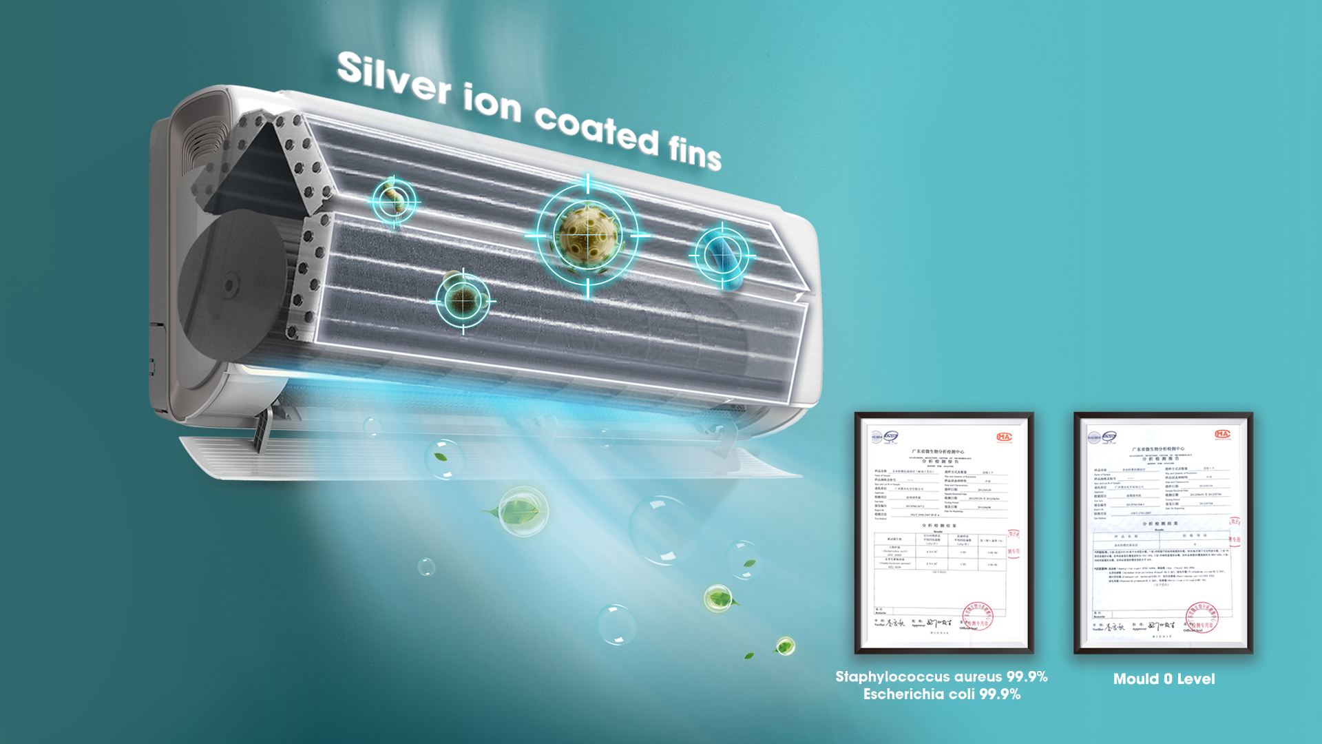 Hisense PERLA Anti Bacteria Fin feature image
