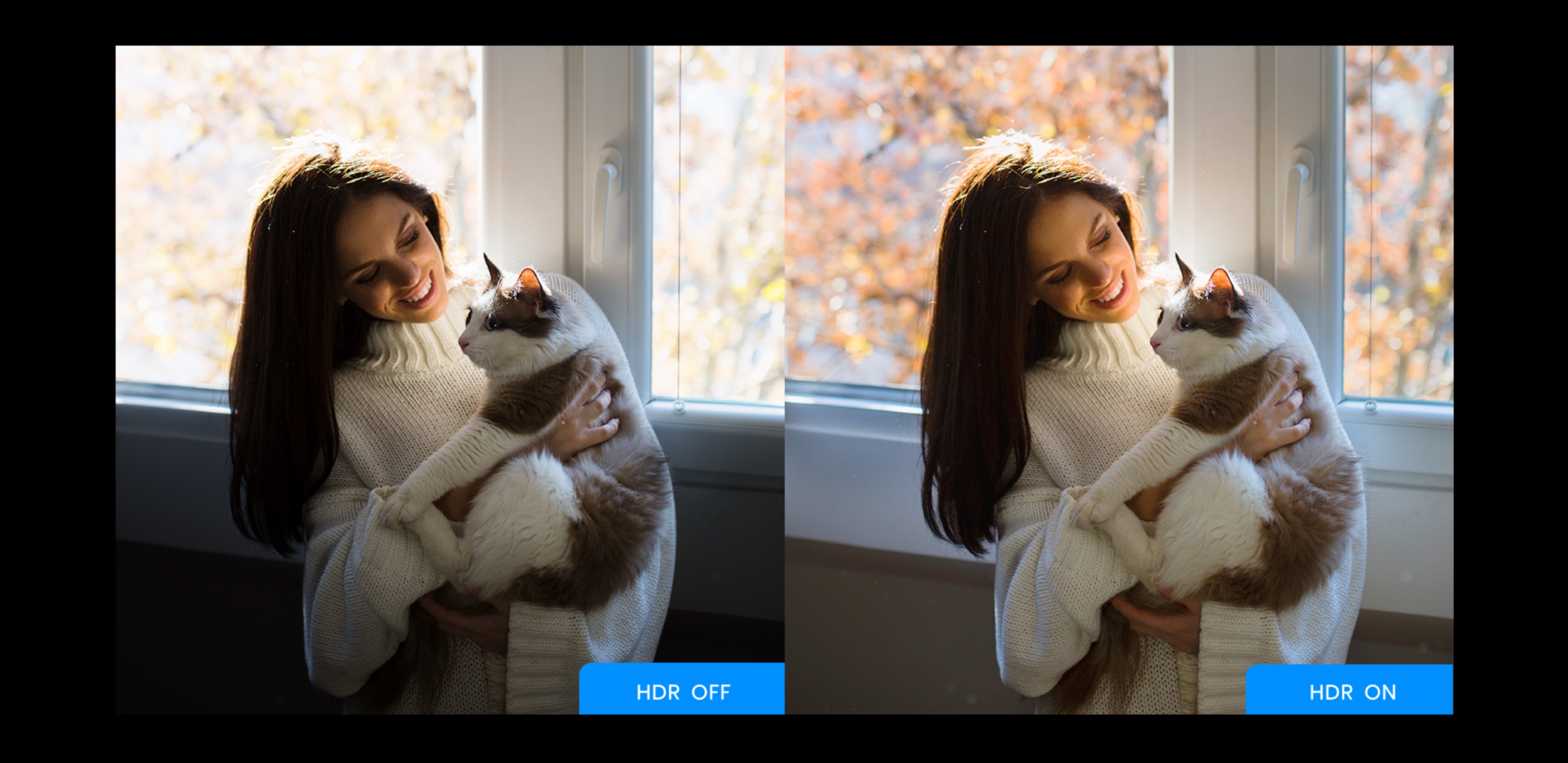 Hisense Infinity H50 - HDR Auto Adjust