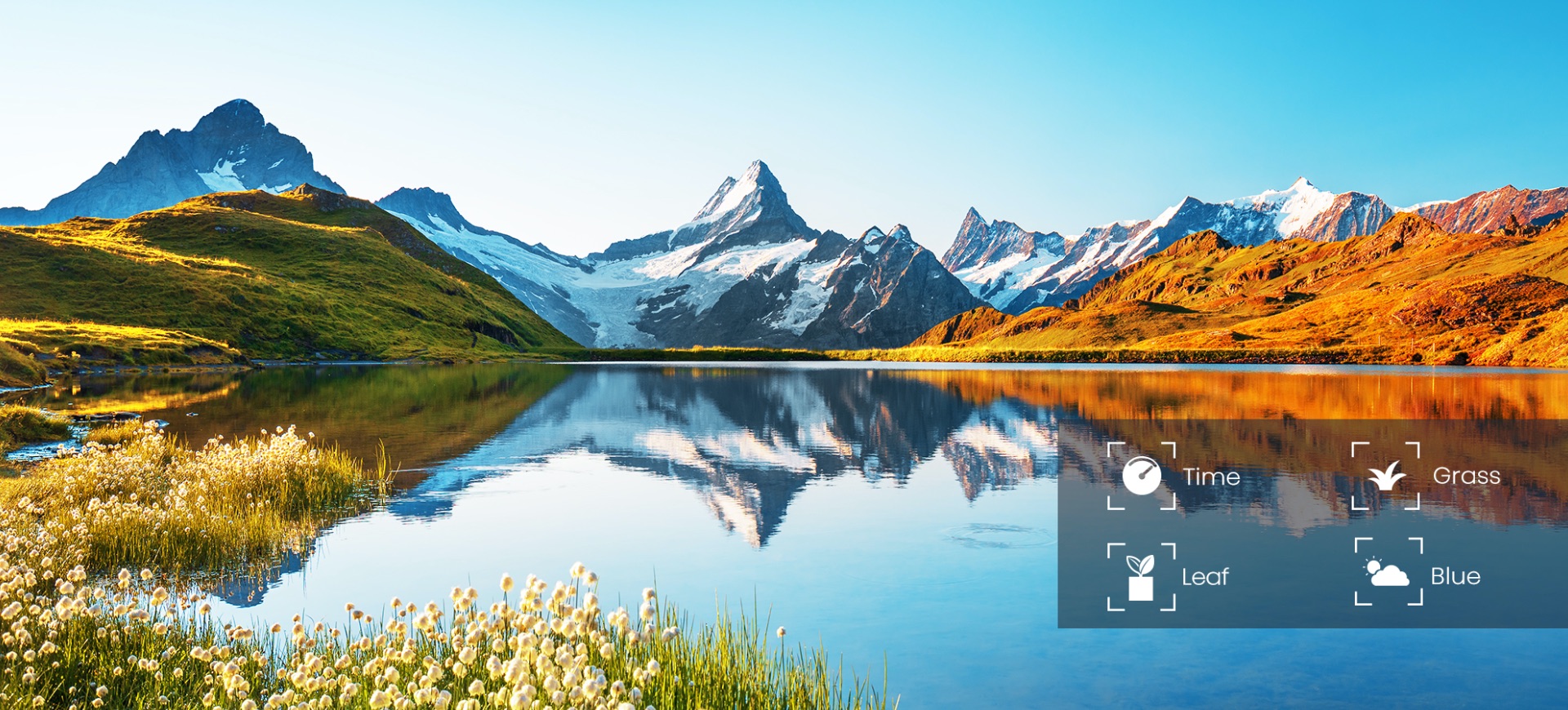 Hisense U6G - AI picture optimization every picture has its own style image