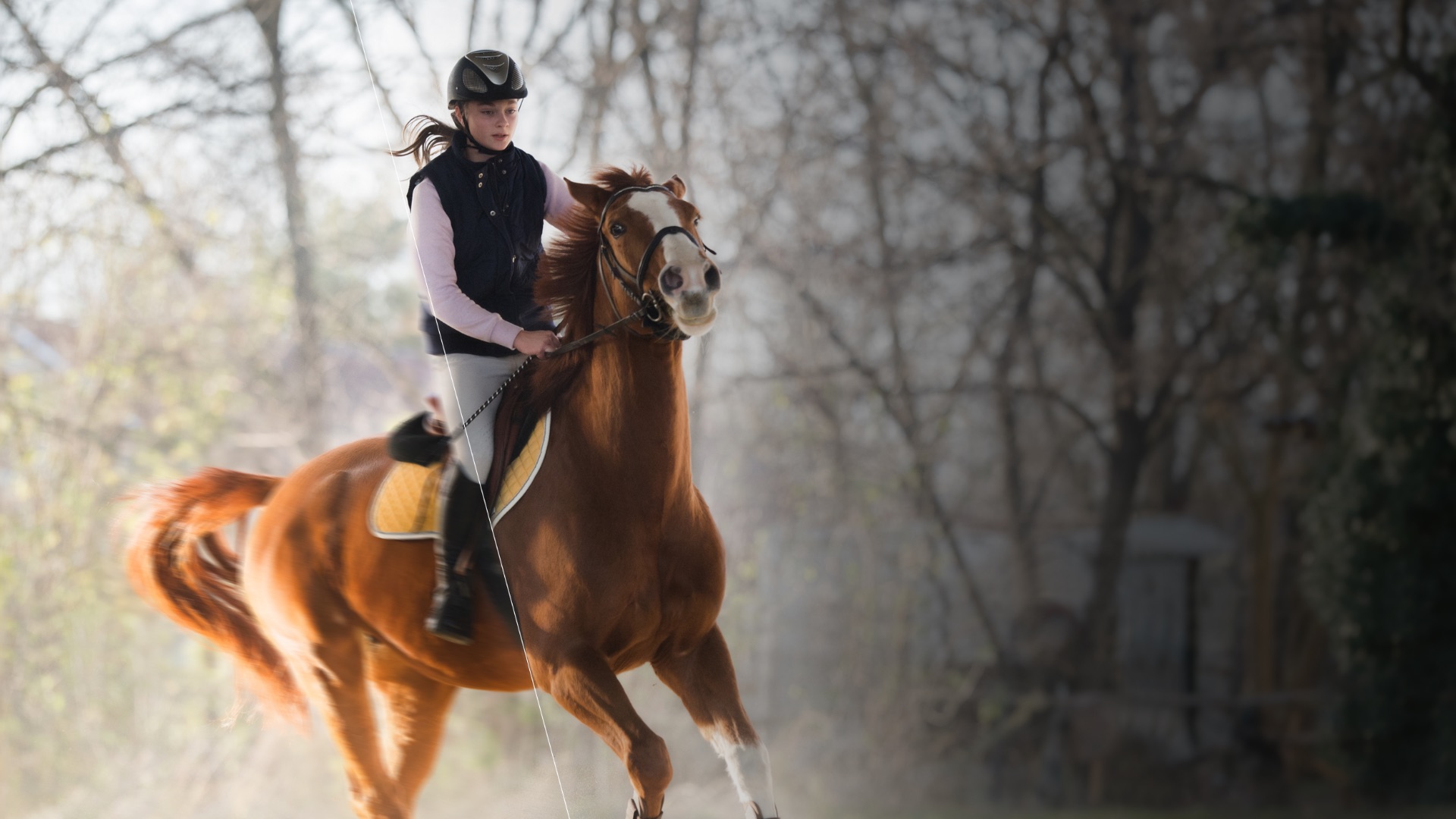 Hisense U8G - Don’t miss any action