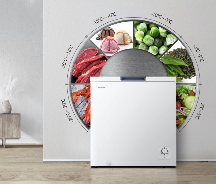 Hisense BD-199 My Fresh Choice feature image - mobile