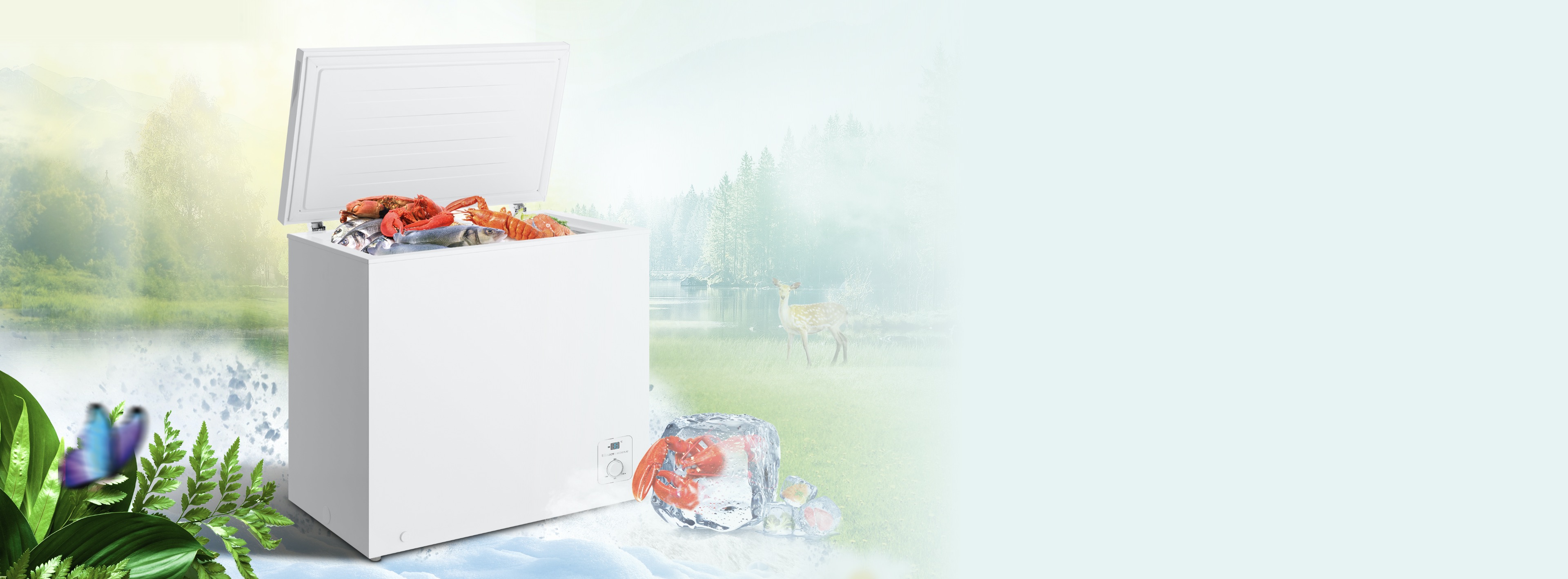 Hisense Chest Freezer Instant Freezing Effects