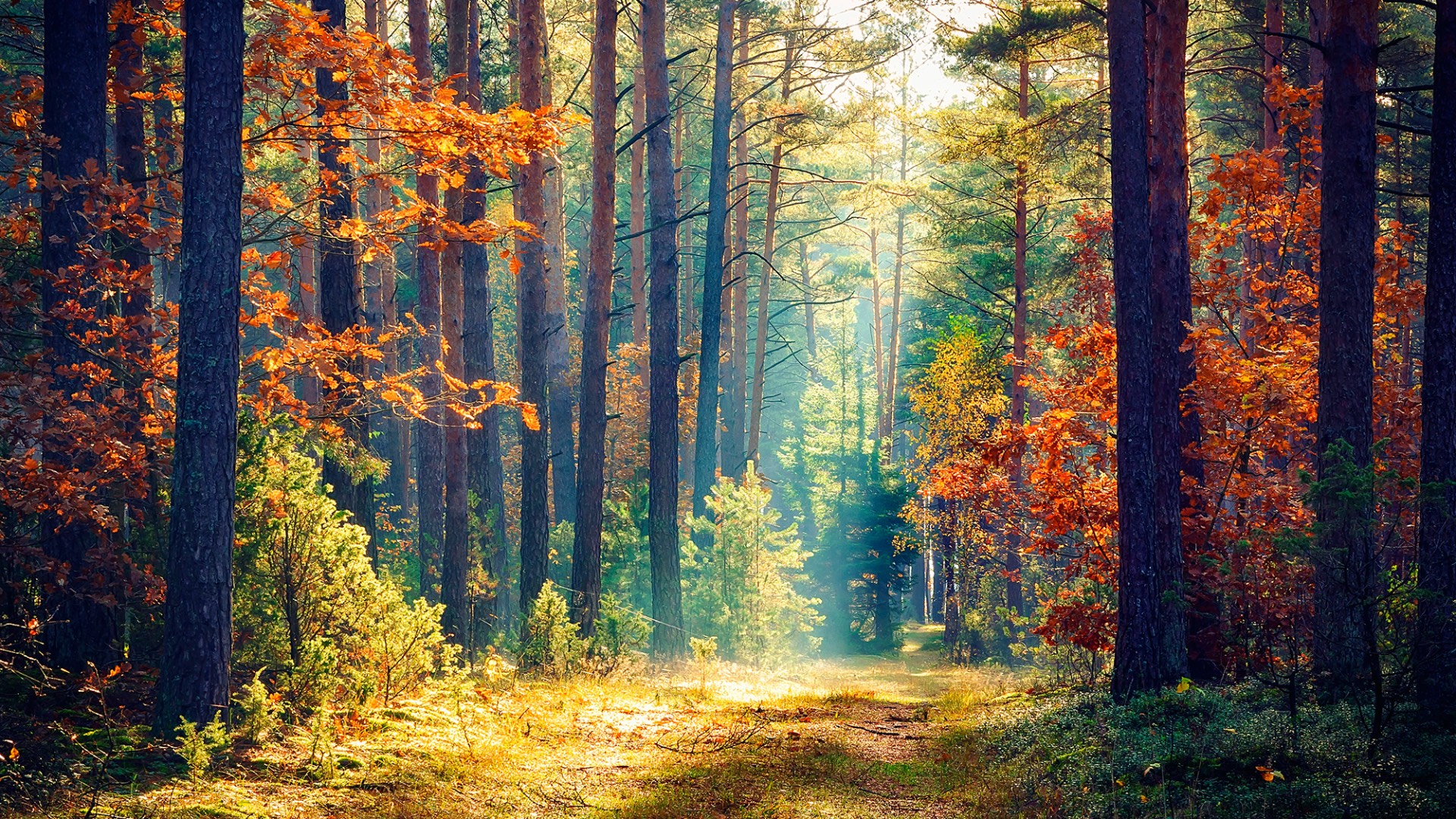 Hisense U7G Quantum Dot Colour Ultra Colour Enhancer feature image