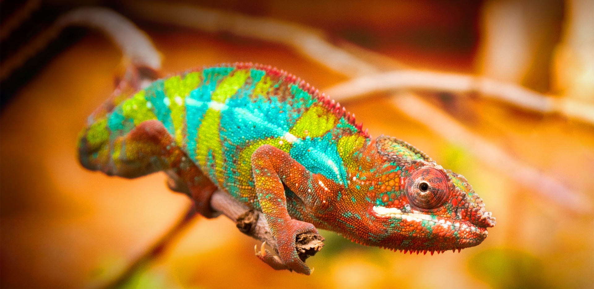 Hisense A7G Wide Colour Gamut feature image