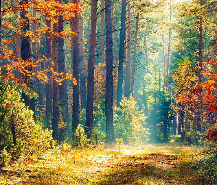 Hisense U7G Quantum Dot Colour Ultra Colour Enhancer feature image - mobile 