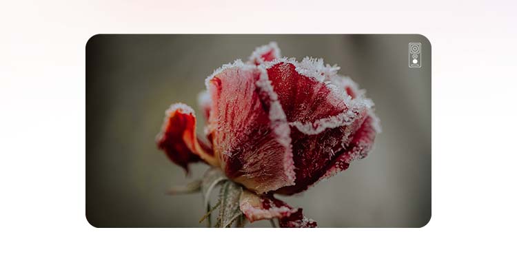 Hisense E60 - Camera 3 mobile