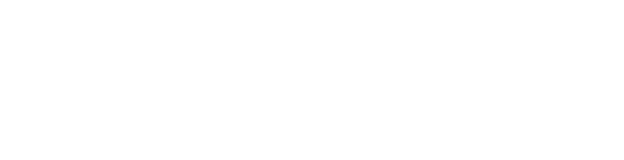 Peak Brightness 800