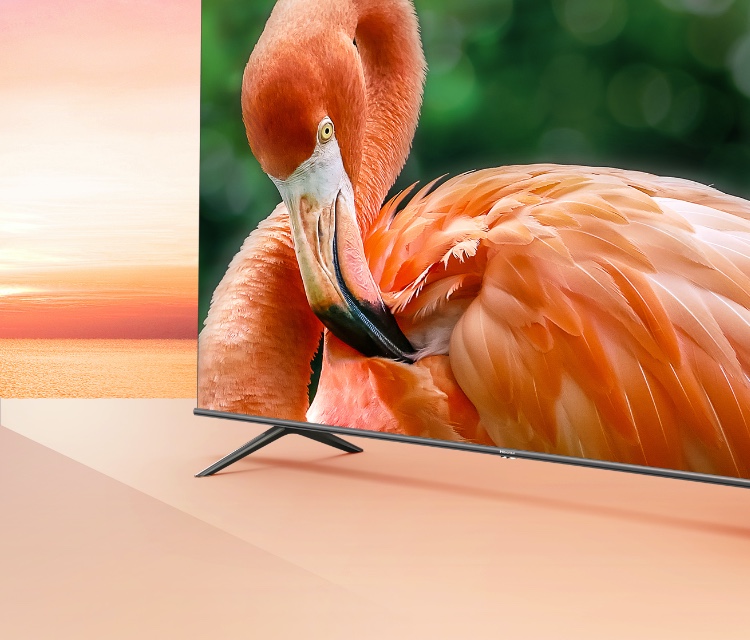 Hisense U6G - Colour As Seen in Nature - Mobile