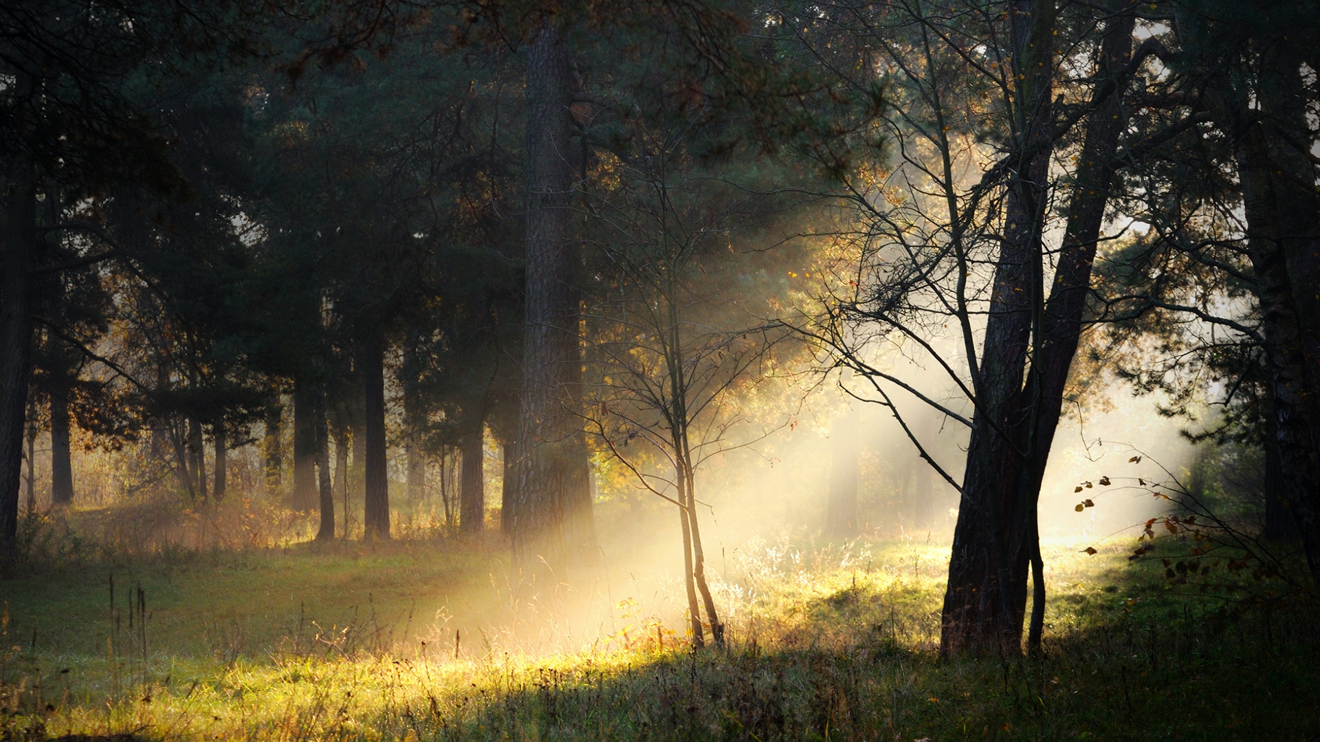 Hisense U7G Brightness 1000 feature image