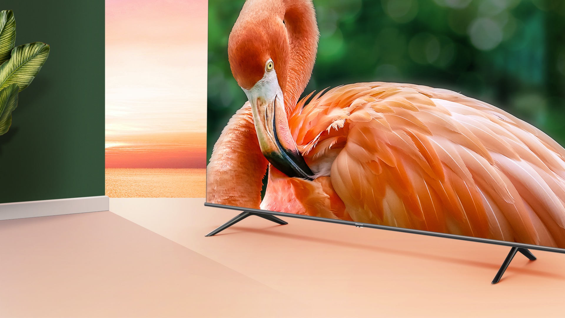 Hisense U6G - Colour As Seen in Nature
