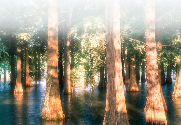 Hisense U7G Brightness Darkness Contrast feature image - mobile