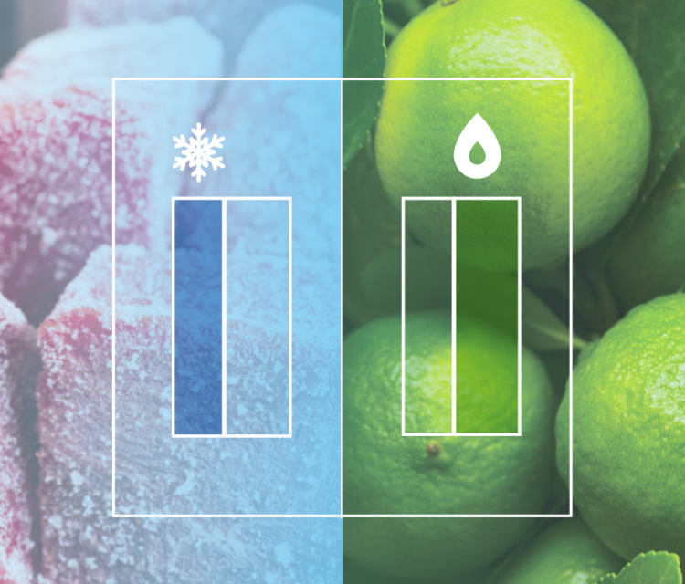 Hisense BCD-535W - Independent fridge and freezer zone feature image - mobile