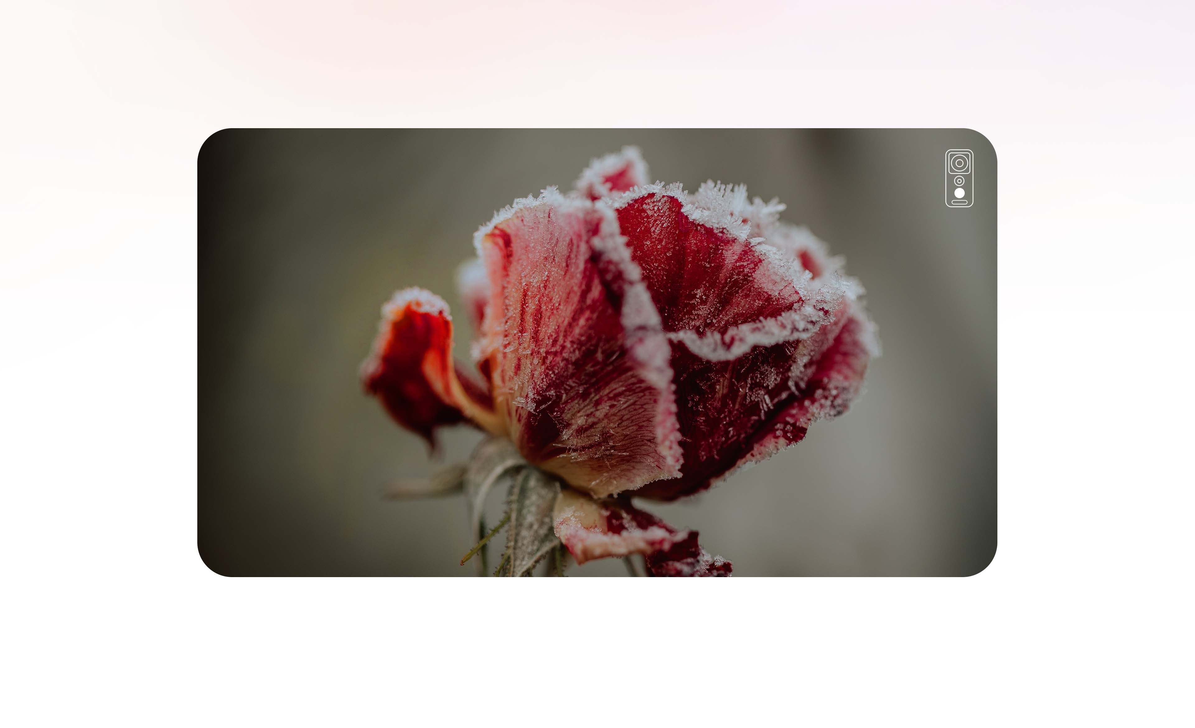 Hisense E60 - Camera 3