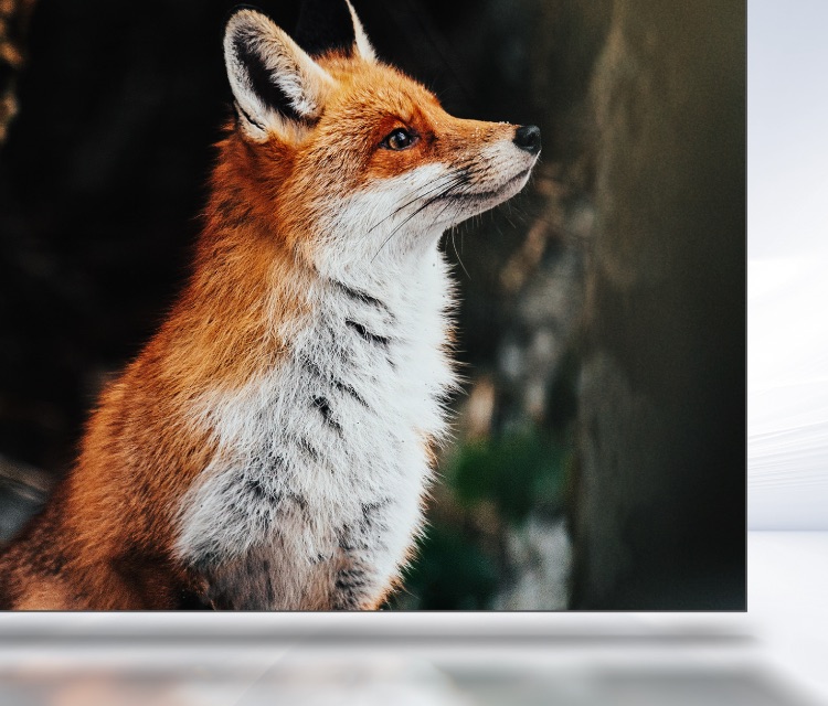 8k resolution Responsive Image