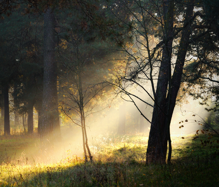 Hisense U7G Brightness 1000 feature image - mobile