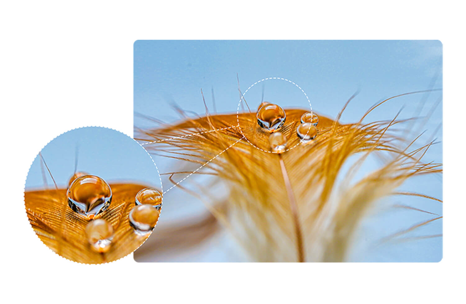 HISENSE INFINITY H50S 5G - Macro Shot