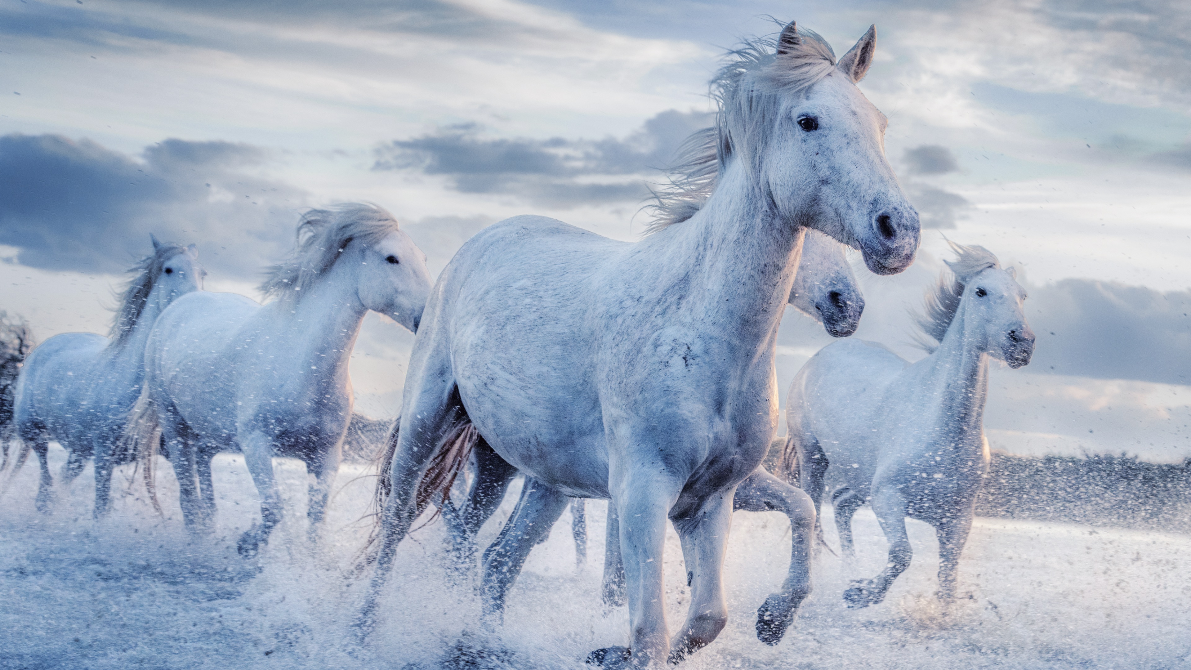 Hisense U80G - Step into the story with Dolby