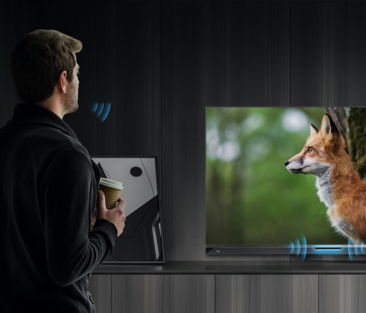 Hisense U9G - Hands-free voice control image - responsive