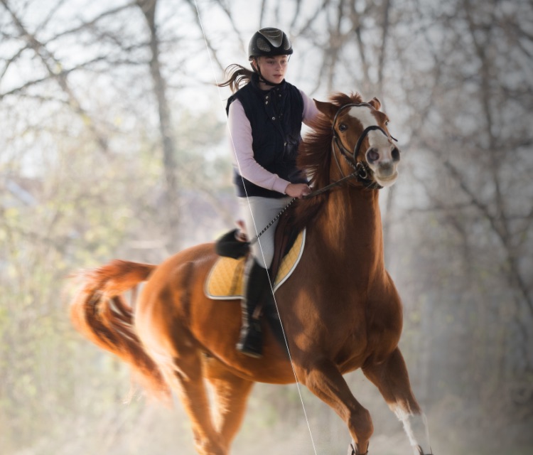 Hisense U8G - Don’t miss any action  - mobile