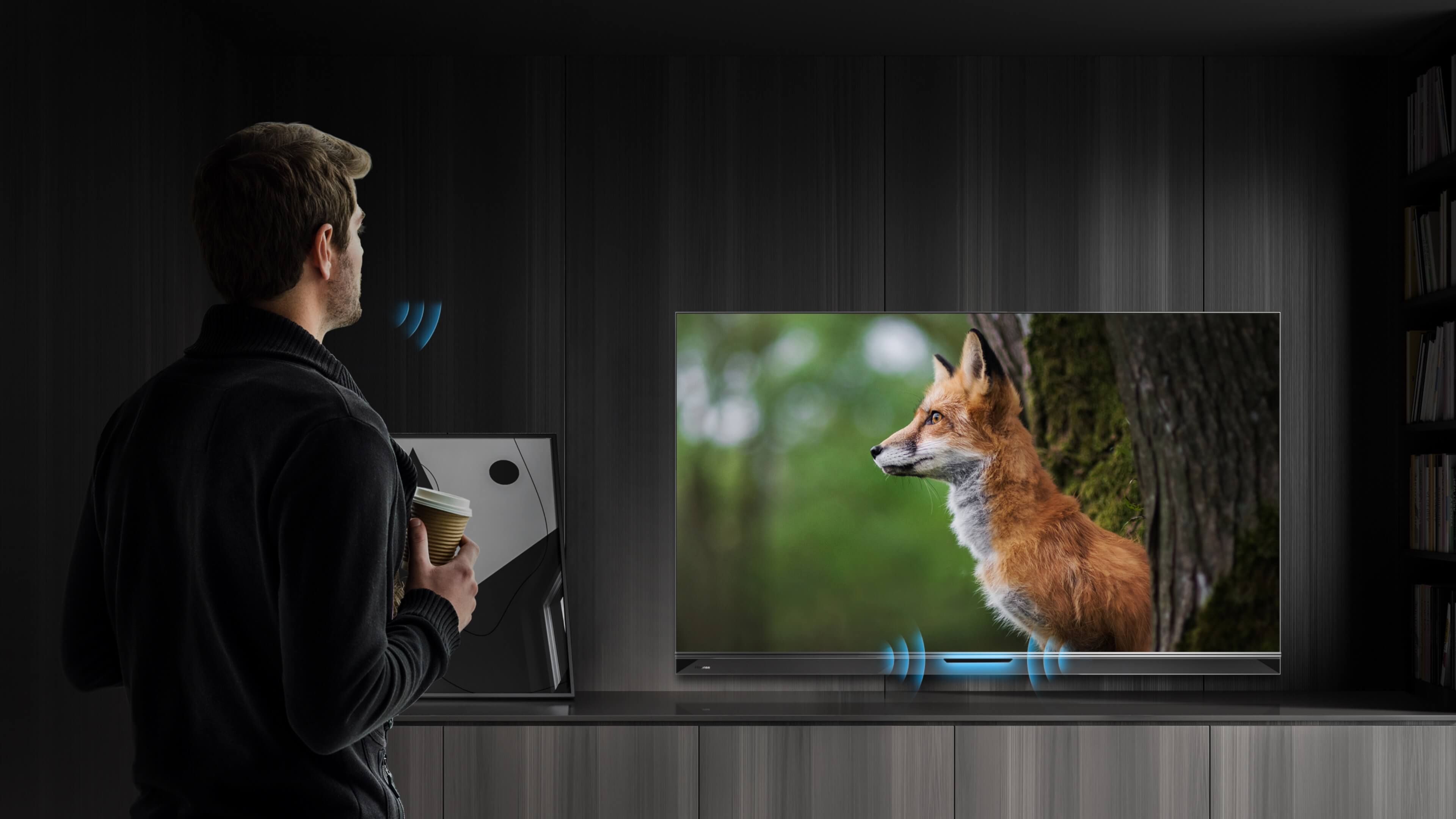 Hisense U9DG - Hands free Voice Control feature image